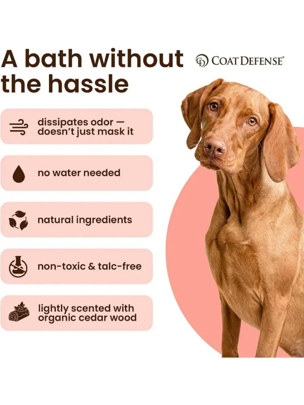 Waterless Dog Shampoo & Deodorizer | Anti-Itch Powder for Smelly Dogs | 9oz